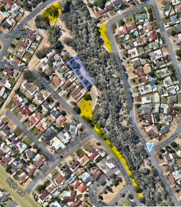 Map of planting area. The bushland is between Brampton Way, Iveston Road and Bywood Way. The morning tea set up will be on the Brampton Way side behind a group of houses.